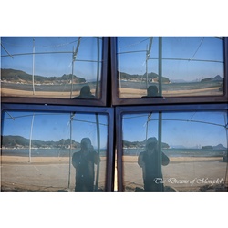 dailyPhoto20